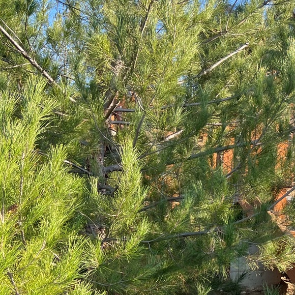 Meet your Posher, Hello - Picture 1 of 1